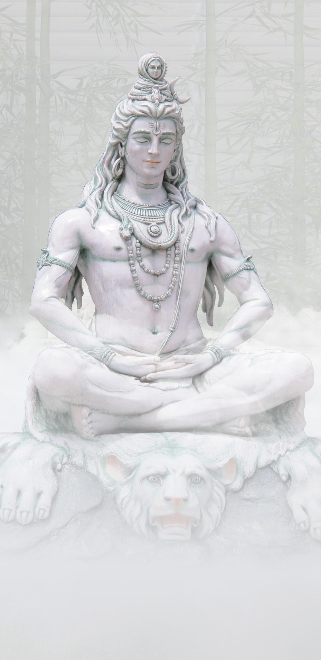 1080x2220 Download Shiva wallpaper for mobile