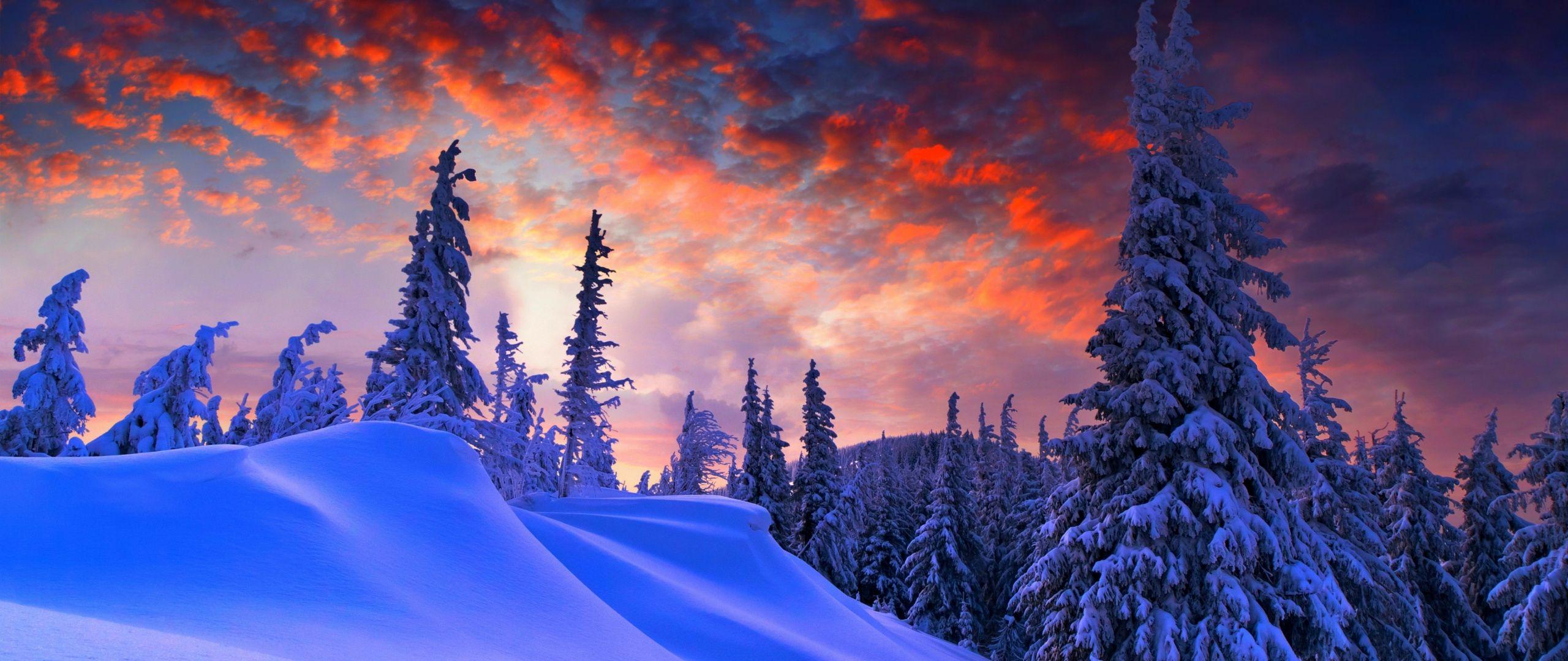 2560x1080 Download 2560x1080 wallpaper winter evening, beautiful sky, trees