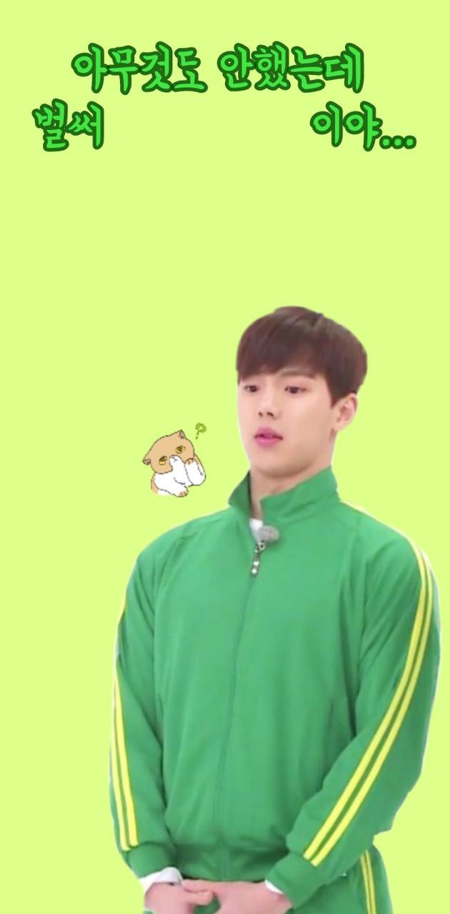 630x1280 shownu monsta x wallpaper