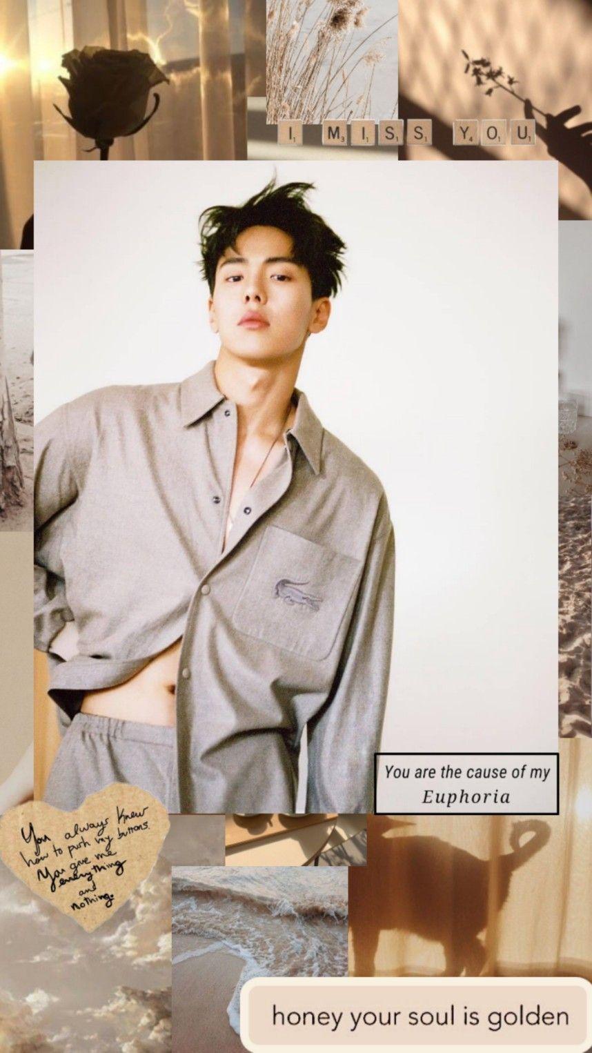 858x1526 Shownu Wallpaper Aesthetic.2. Monsta x