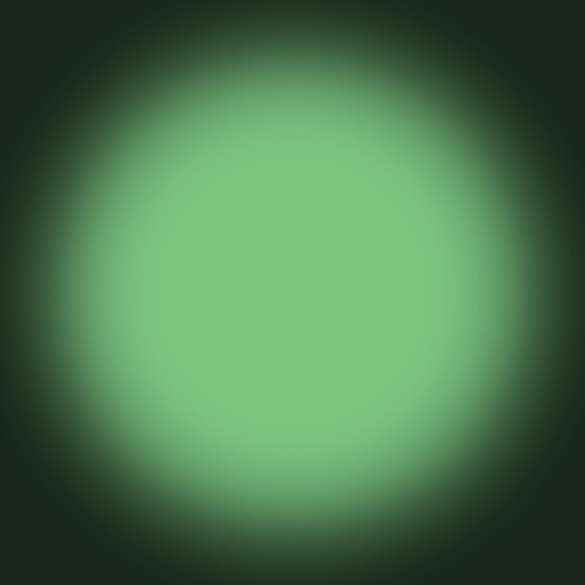 1920x1920 Green, vignette, background, frame, image