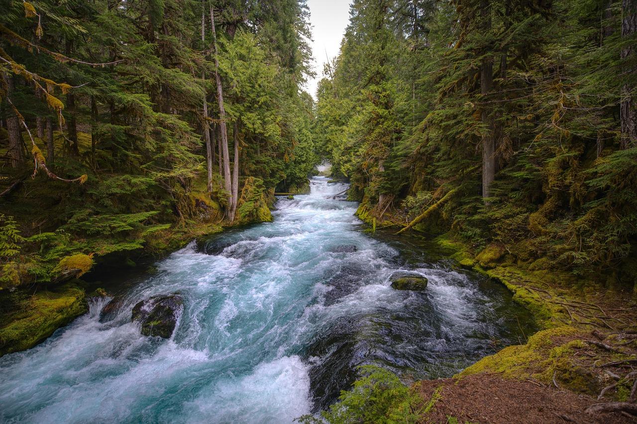 1280x853 Beautiful River & River Image