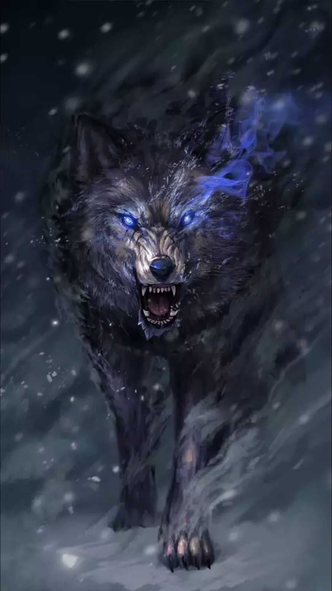 Angry Wolf AttackLife of Wolf by Abu Adnan