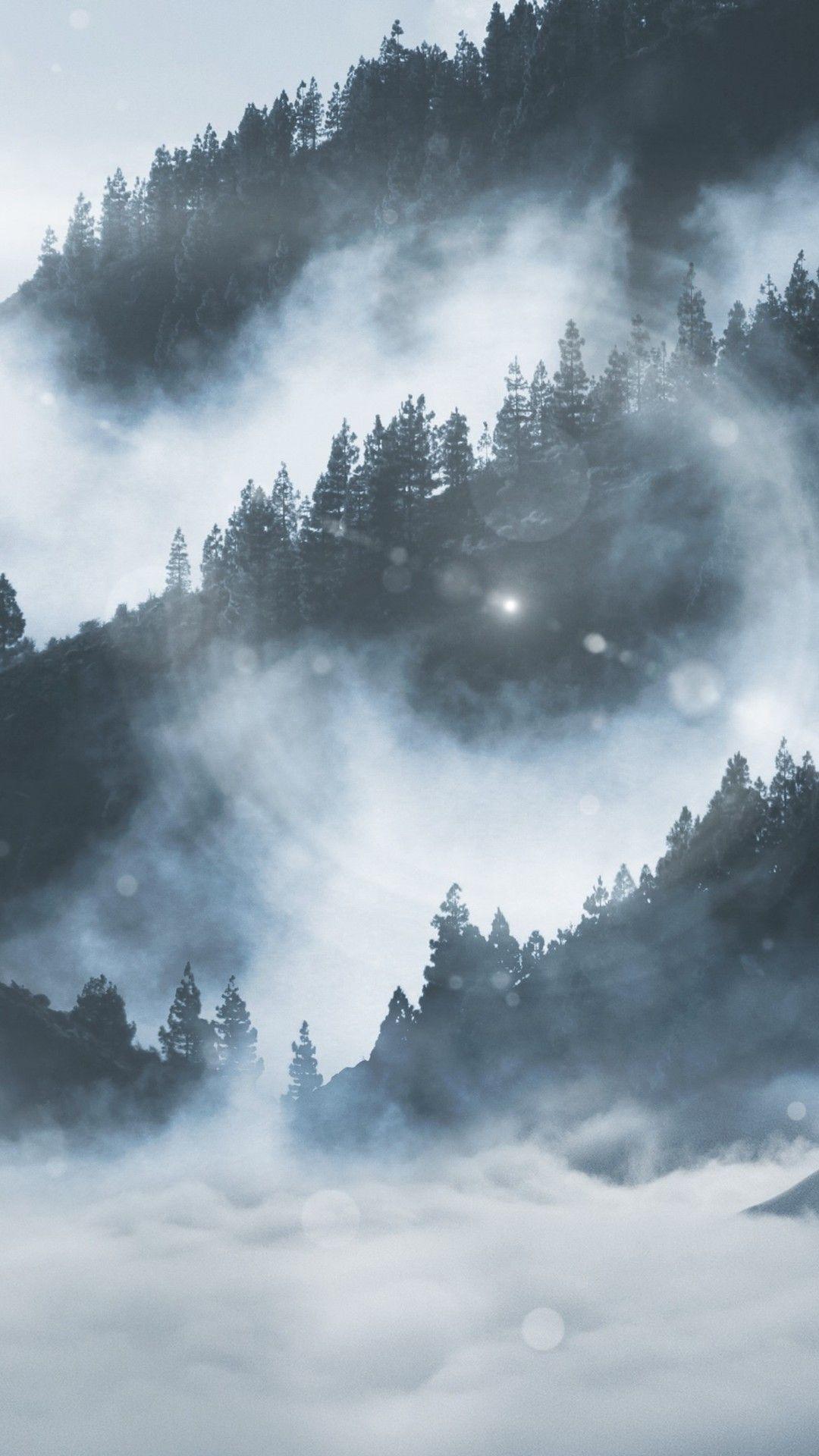 1080x1920 A Lone Wolf In The Foggy Mountains 4K UltraHD Wallpaper. Wallpaper