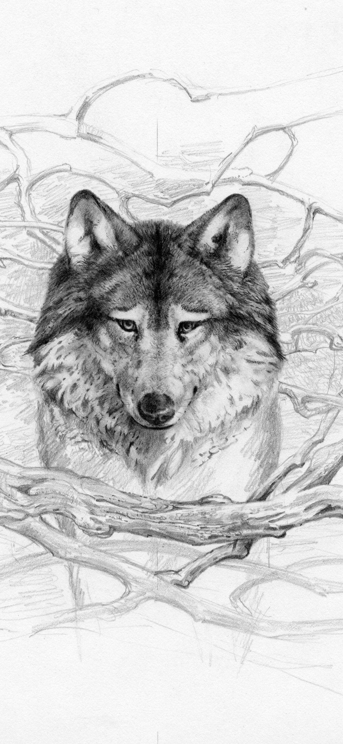 1125x2436 Download Wallpaper 1125x2436 Lone wolf 500 gram cake, Lone wolf 59