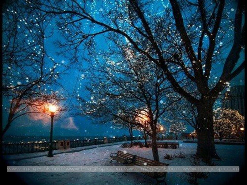 1024x768 Night Seen Wallpaper