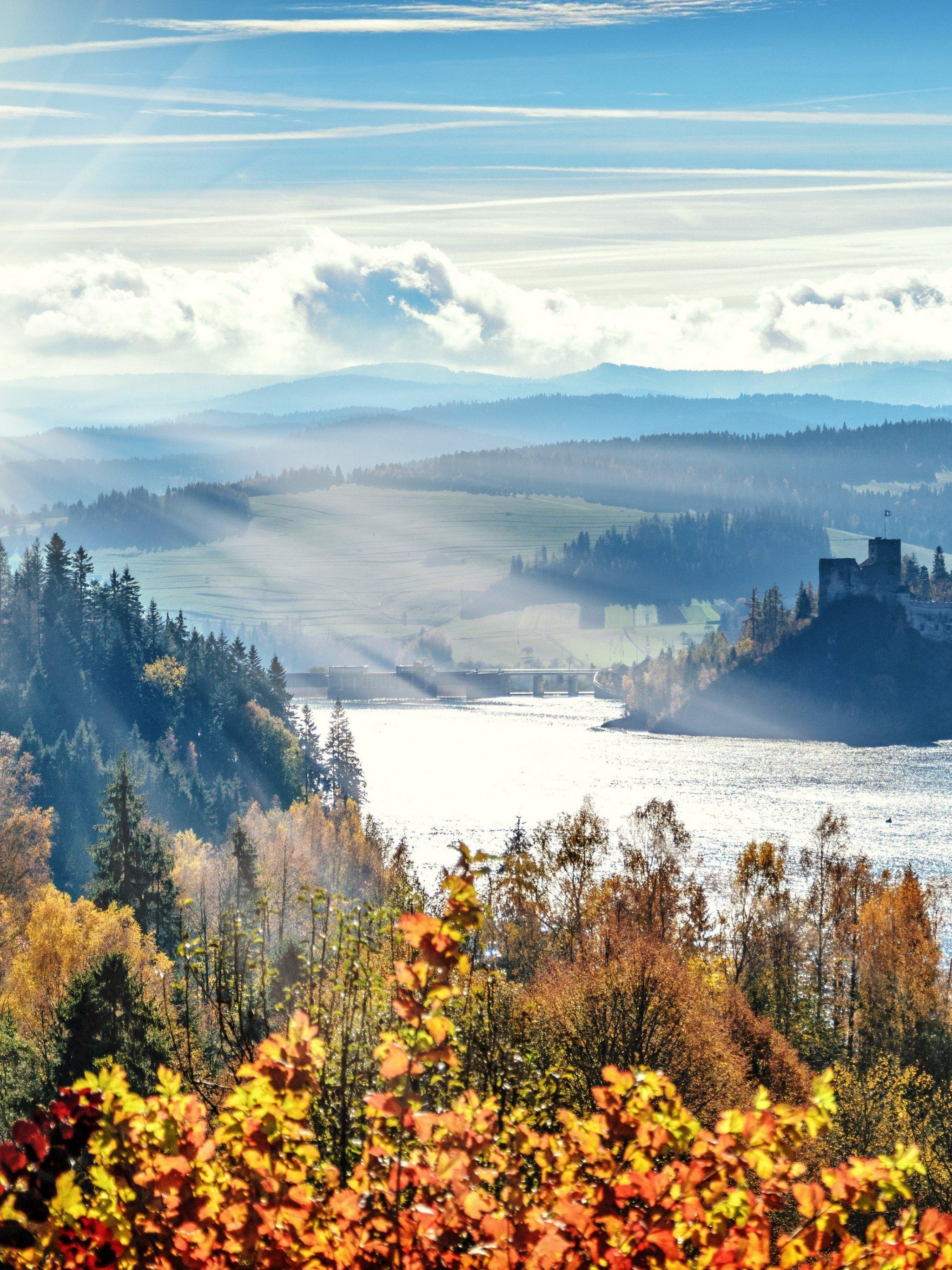 2048x2732 Autumn Forest River Scene Wallpaper