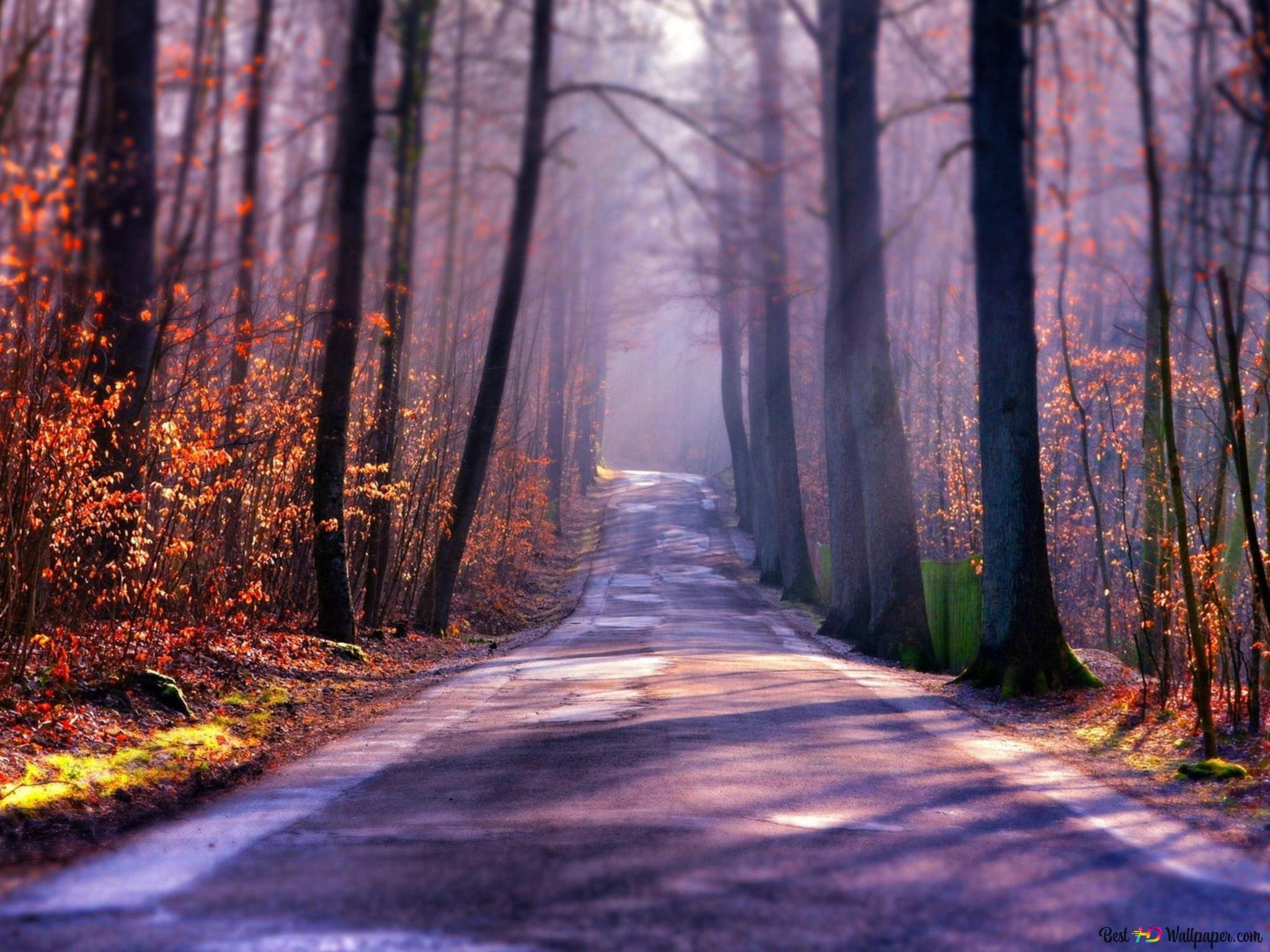 2048x1536 Beautiful Road Scene 4K wallpaper download