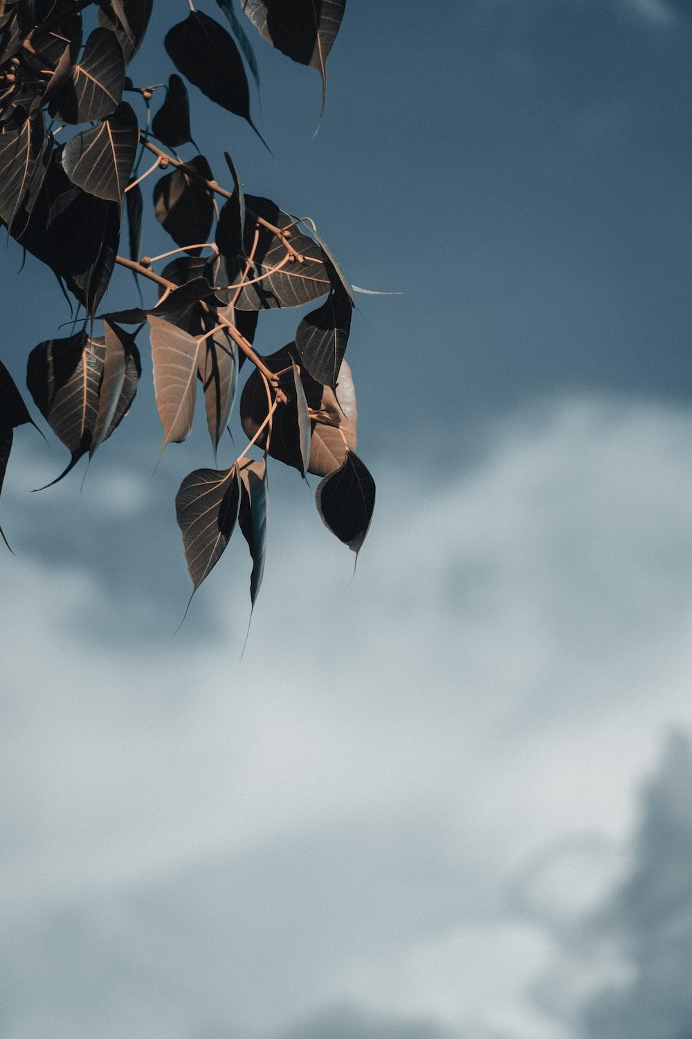 1000x1500 Wallpaper For Mobile Picture