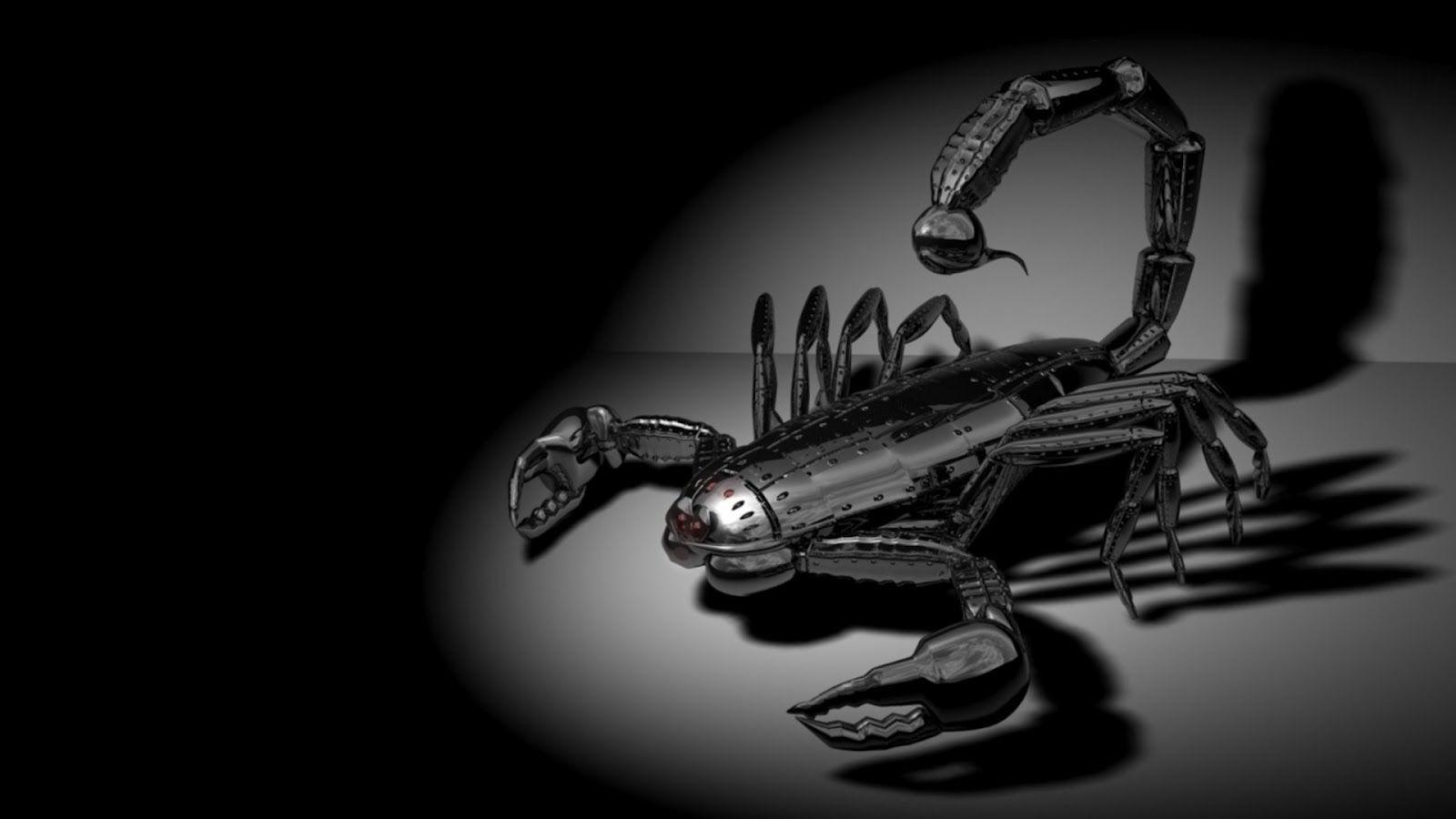 1600x900 Free Download New wallpaper