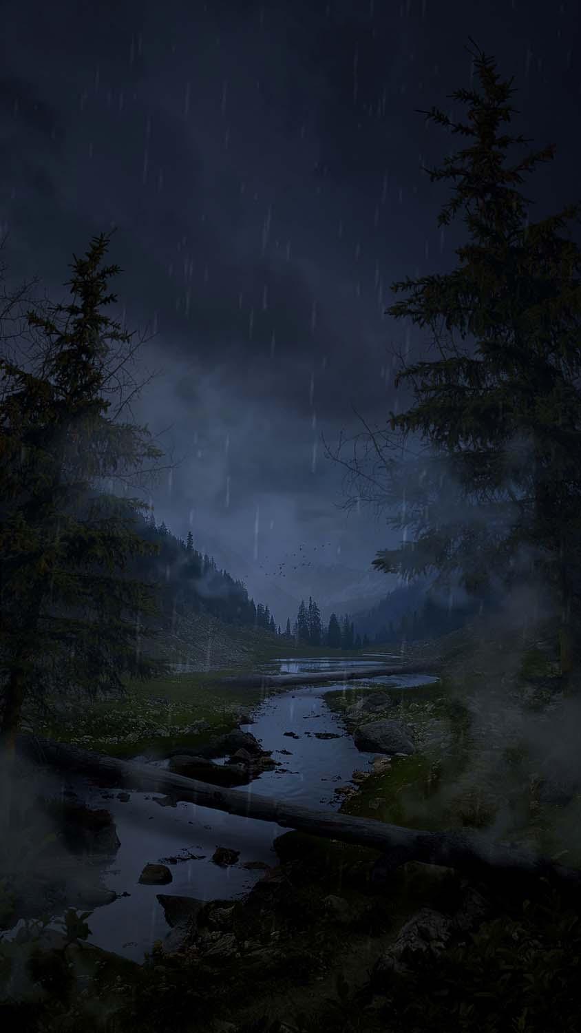 844x1500 Rain In Forest IPhone Wallpaper HD