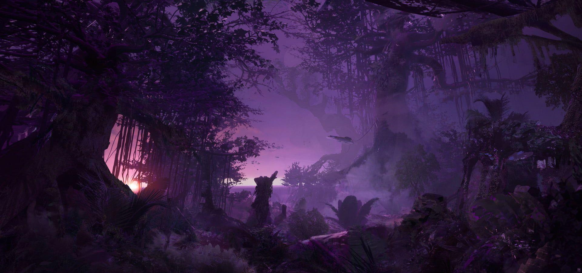 1920x900 fantasy themed rain forest wallpaper