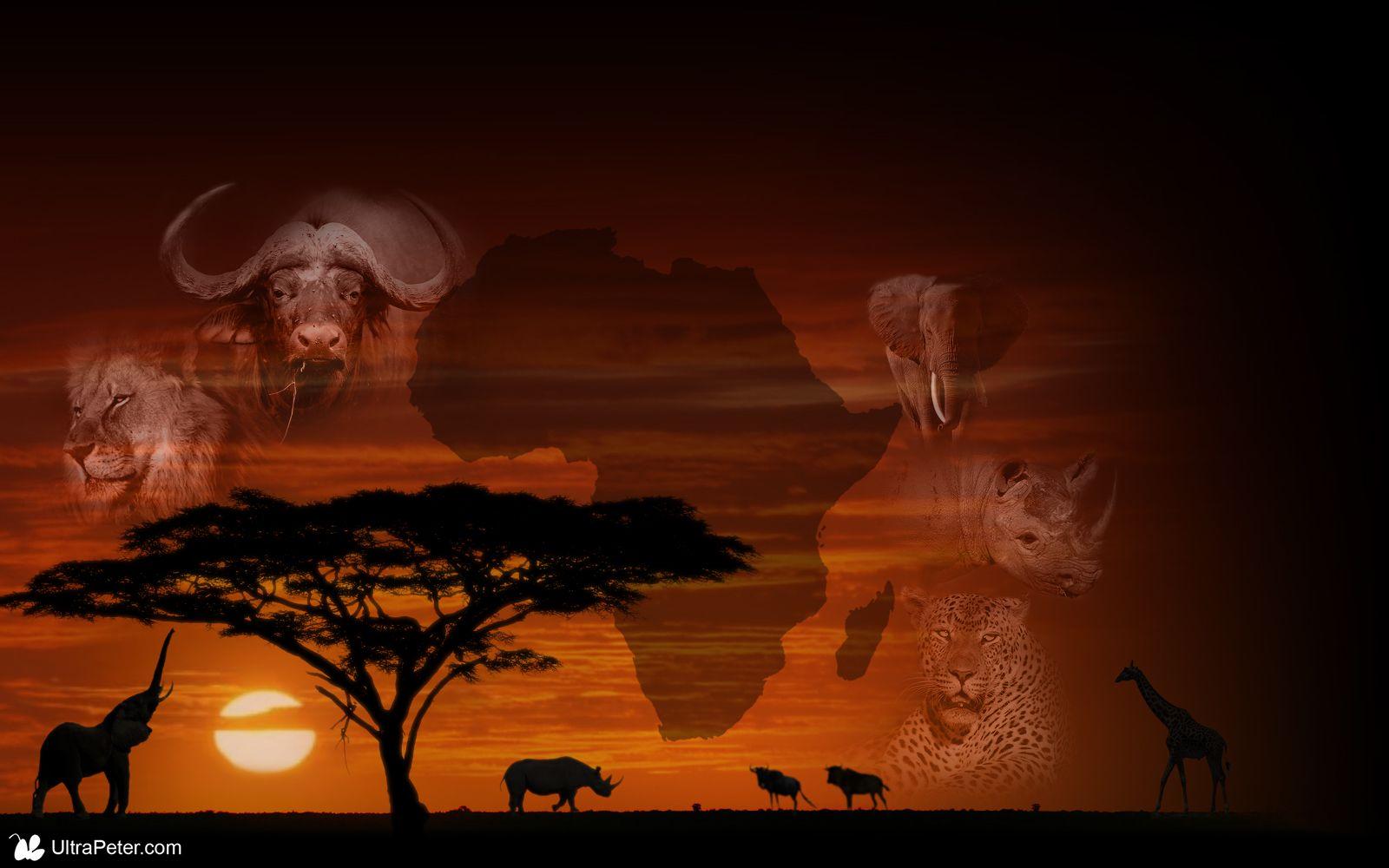 Ancient African Wallpapers Top Free Ancient African Backgrounds WallpaperAccess