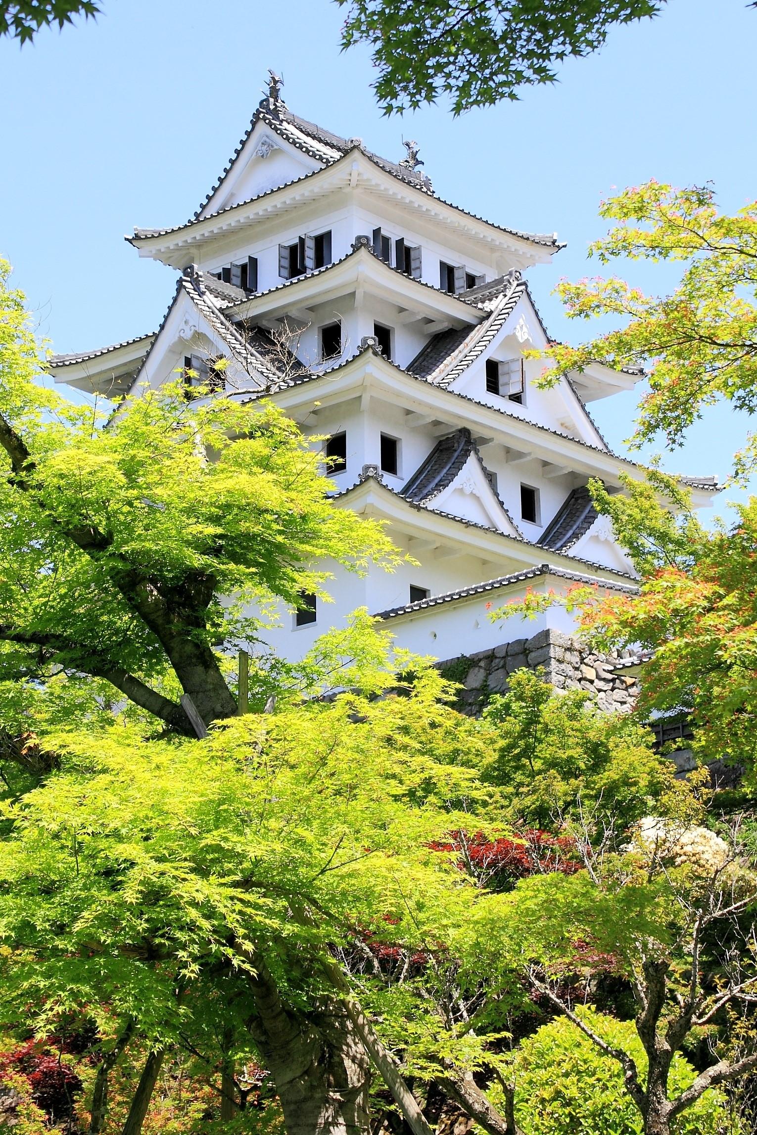 1530x2295 gifu 1080P, 2k, 4k Full HD Wallpaper