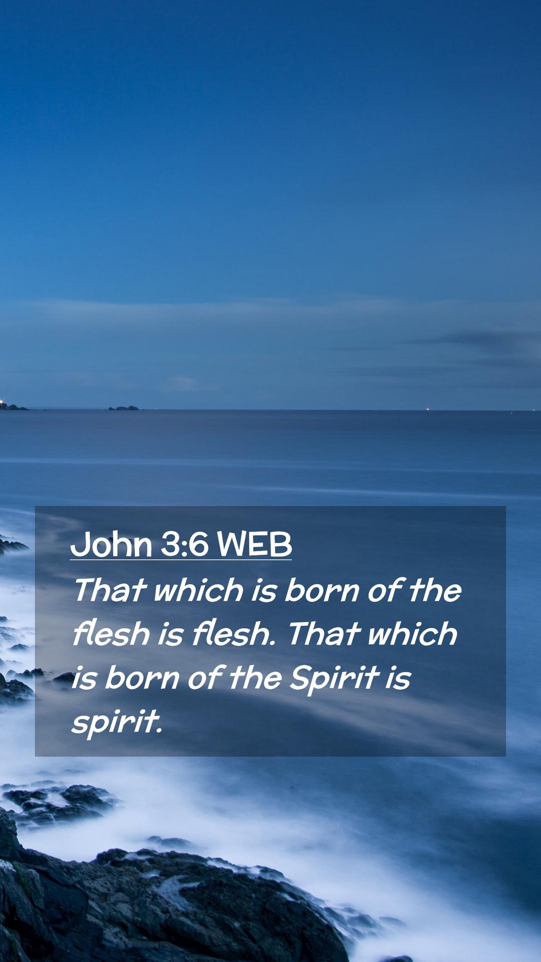 1080x1920 John 3:6 WEB Mobile Phone Wallpaper
