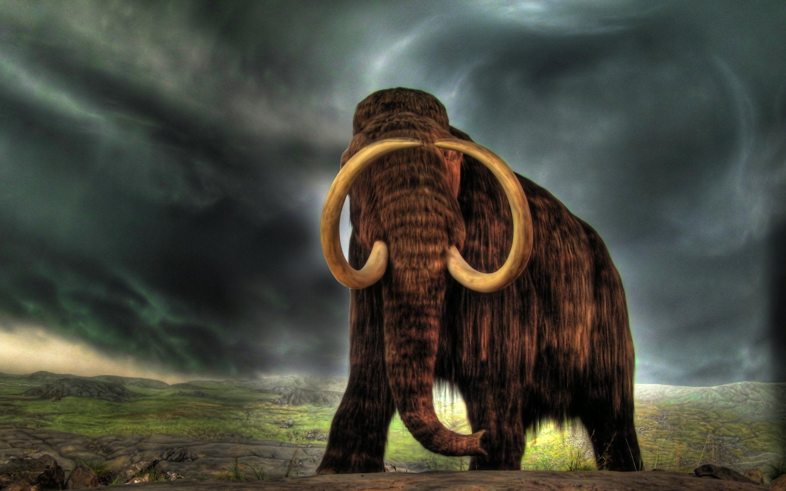 2560x1600 Mammoth Animals Ancient animals