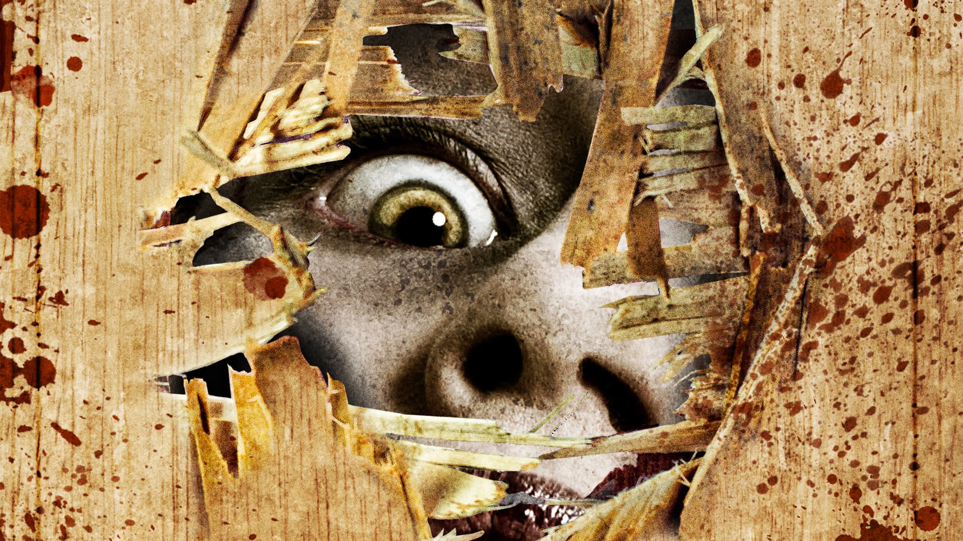 1920x1080 Watch I Am ZoZo (2012)