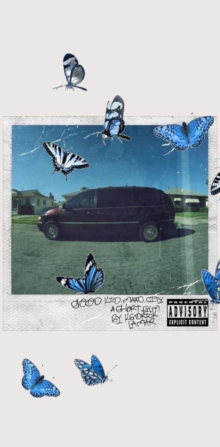 736x1493 Wallpaper