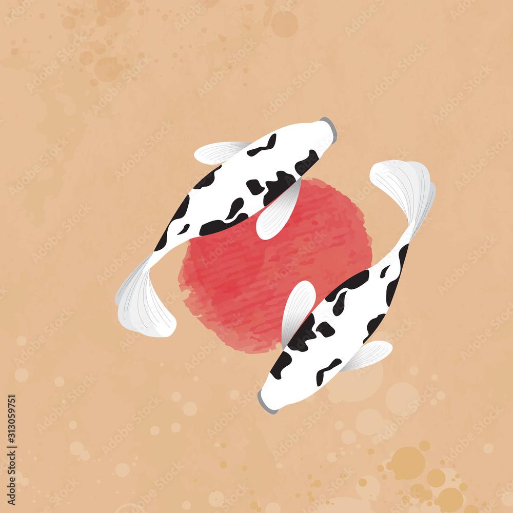 1000x1000 shiro bekko fish koi. Fish Koi