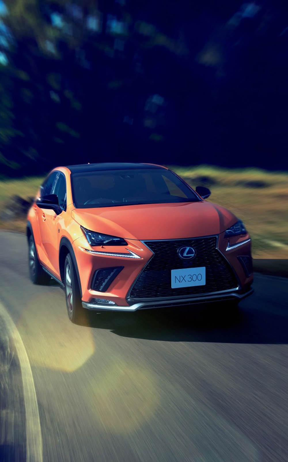 1000x1600 Lexus NX 300 F Sport 2018 4K Ultra HD