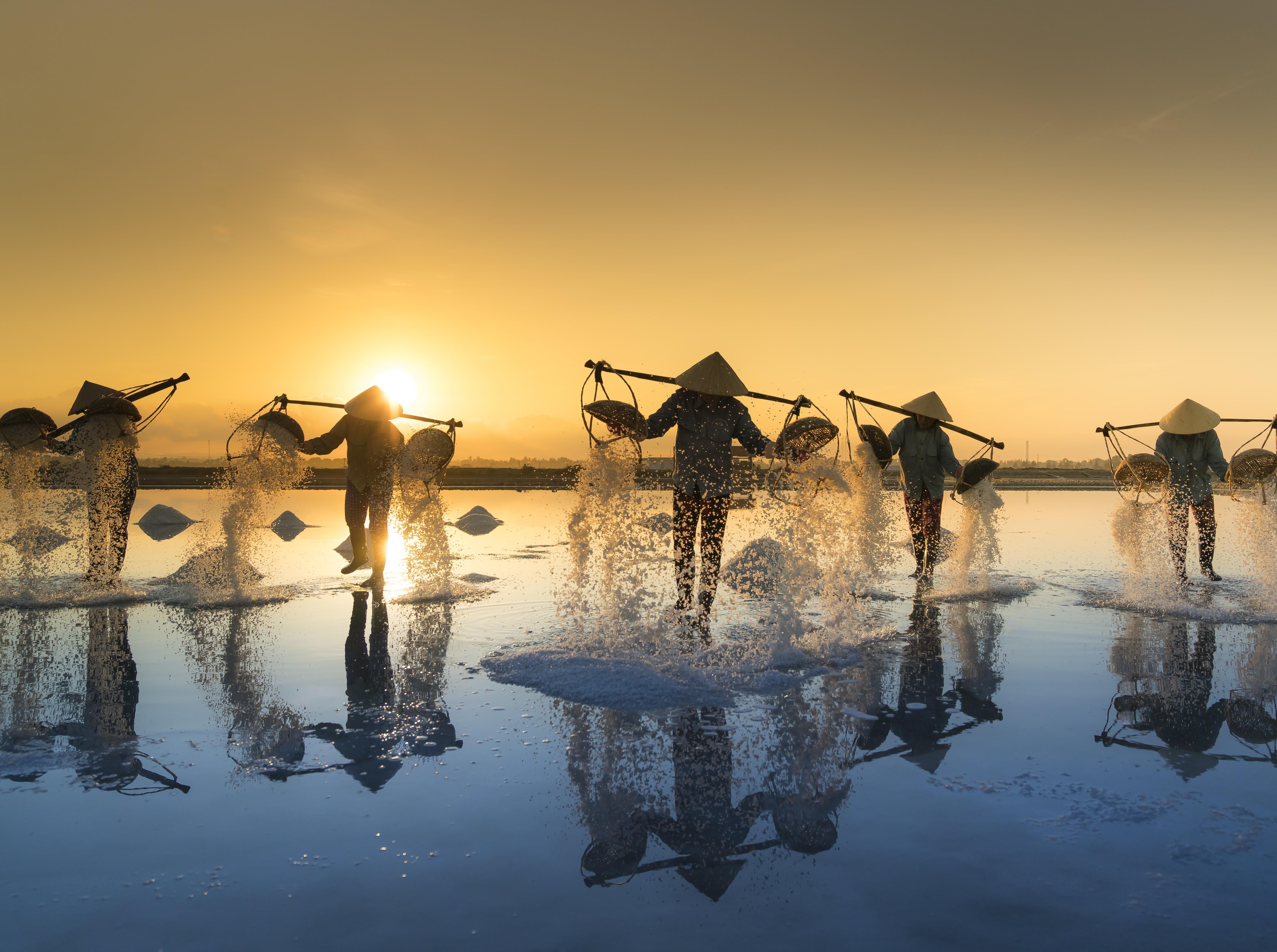 6400x4773 hardwork, Workers, Photography