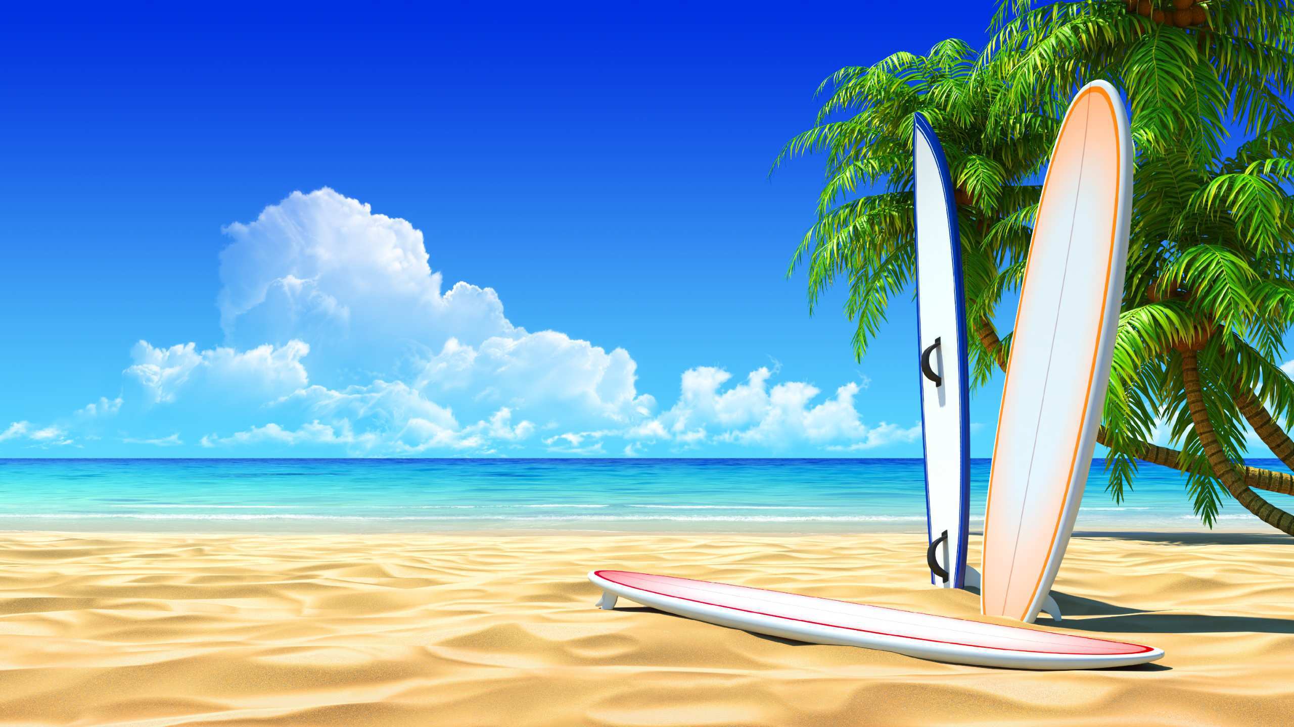 2560x1440 Surfing Wallpaper