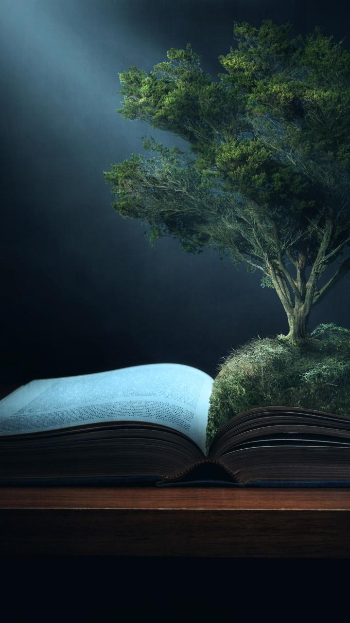 Novel Wallpapers - Top Free Novel Backgrounds - WallpaperAccess