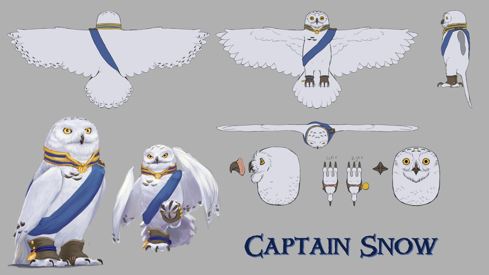 1920x1080 Redwall: Captain Snow Concept