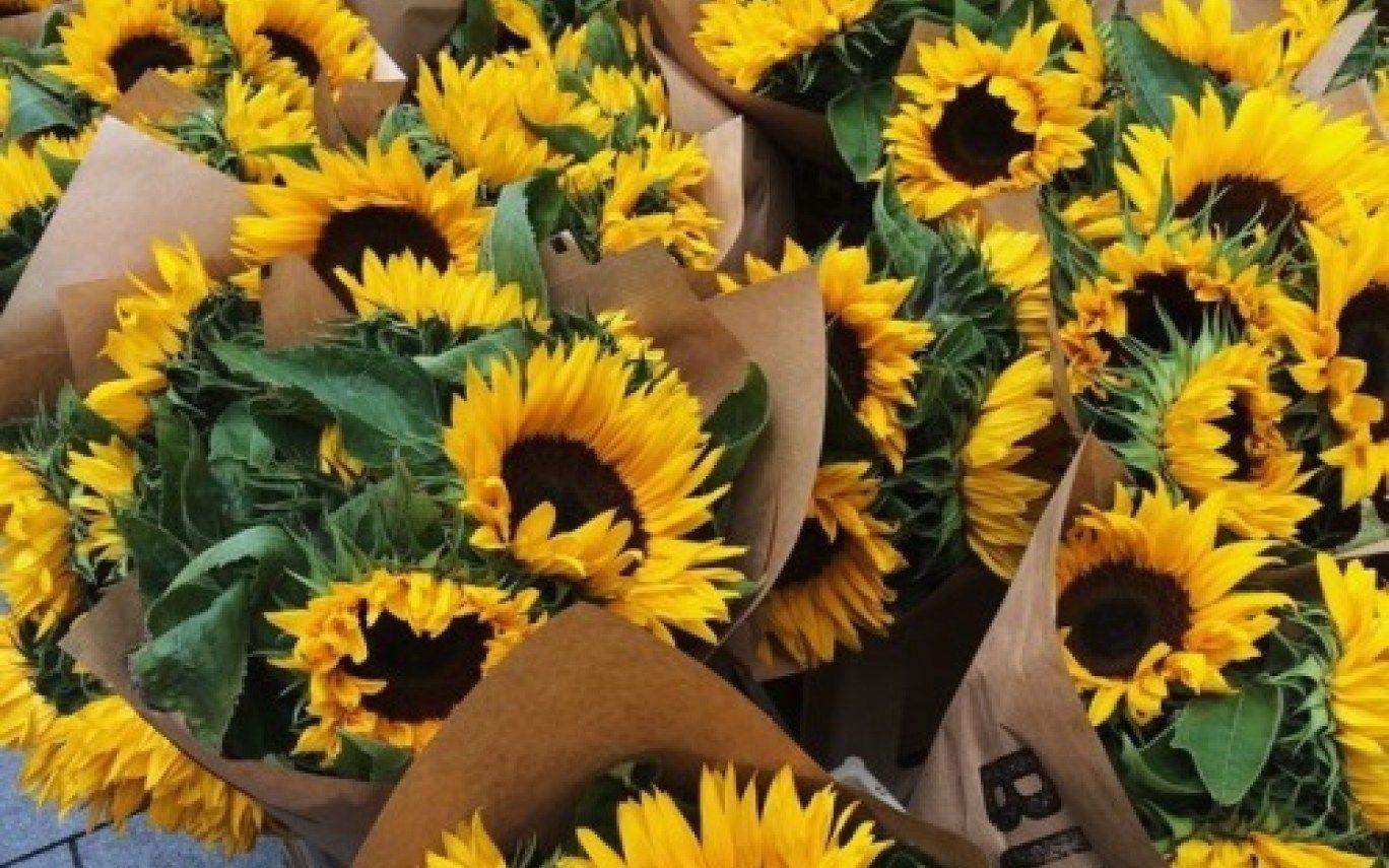1368x855 Yellow Aesthetic Tumblr iPhone Wallpaper