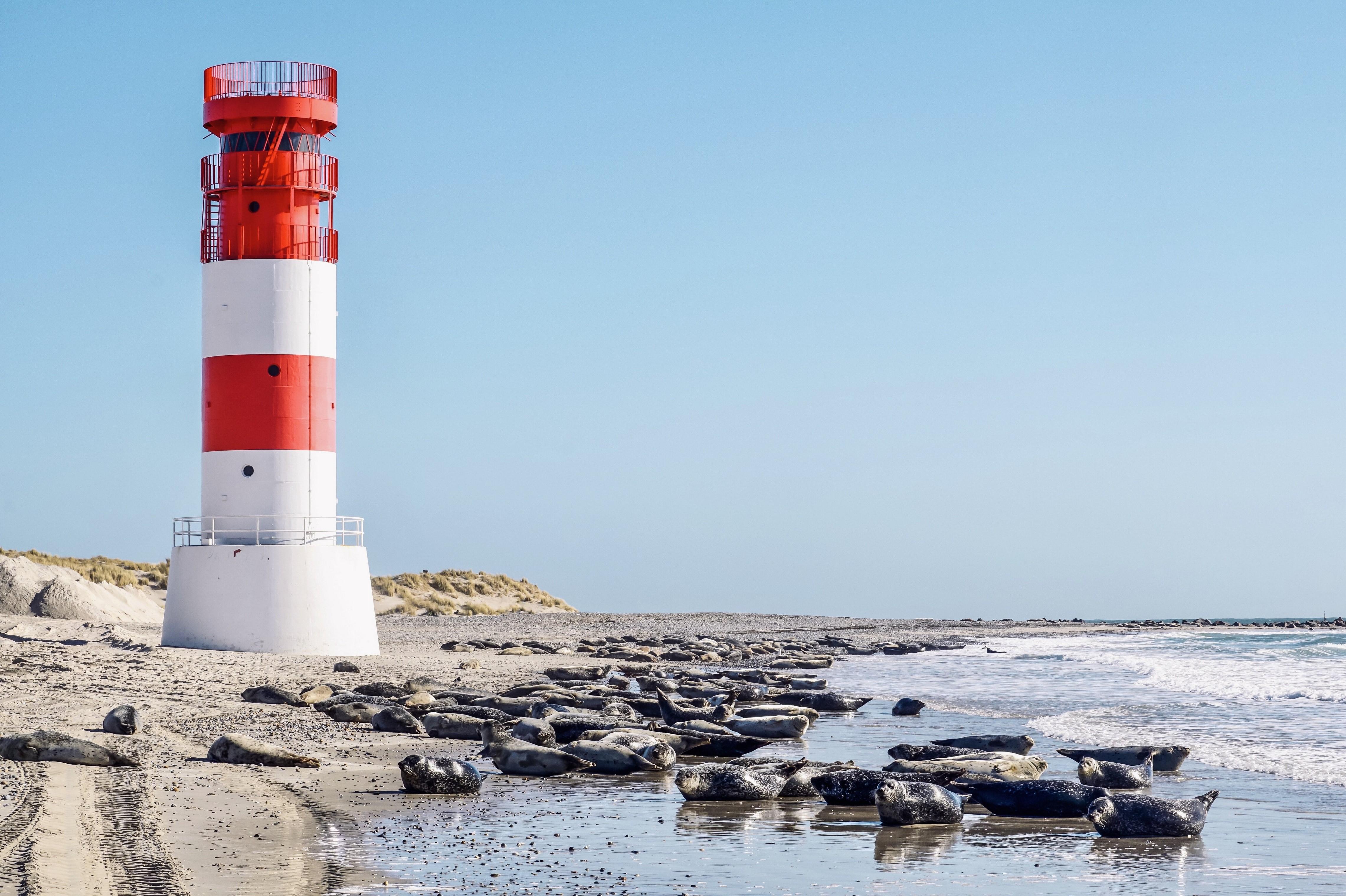 4562x3039 Island, Lighthouses, Coast, Seals
