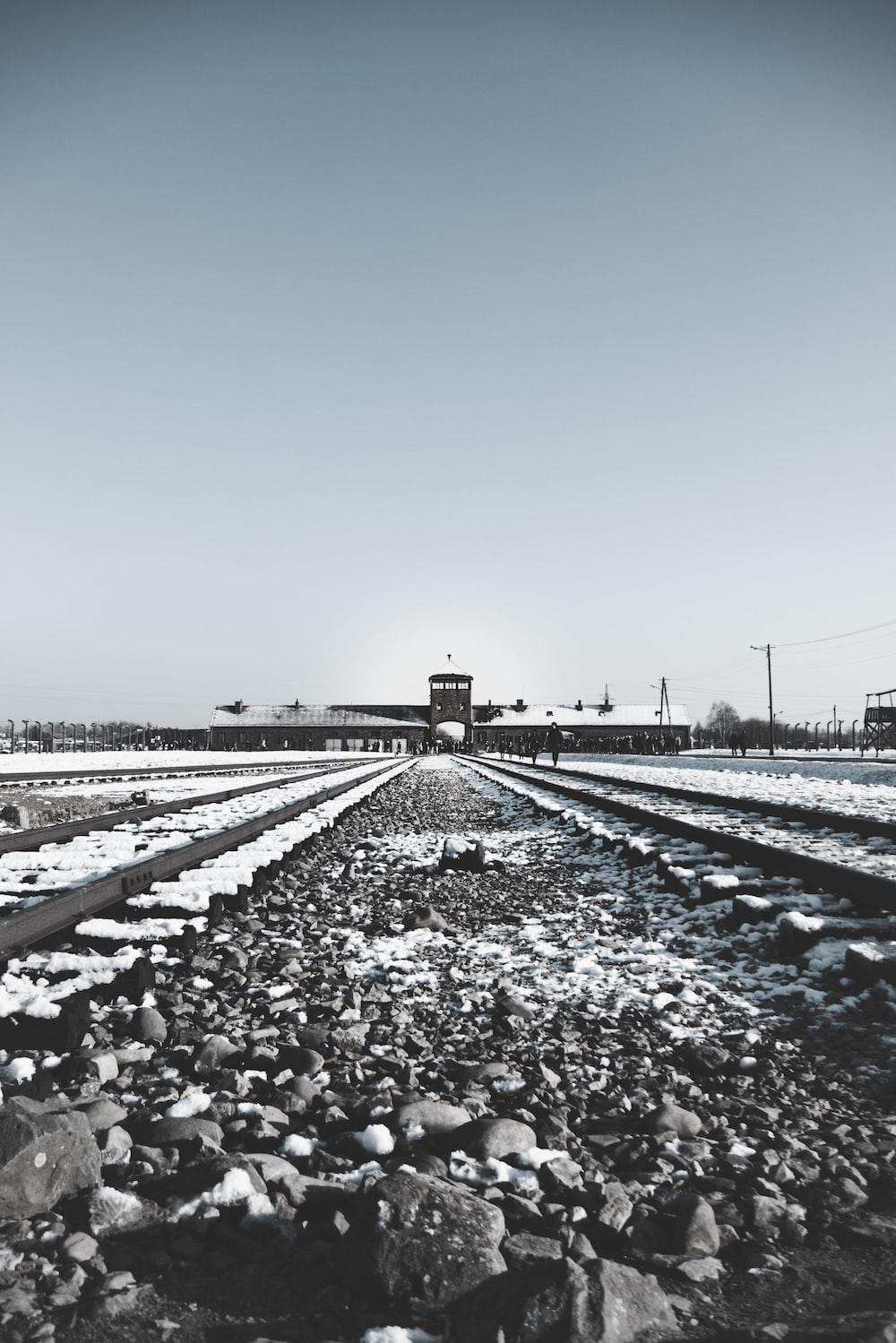 1000x1499 Holocaust Picture. Download Free