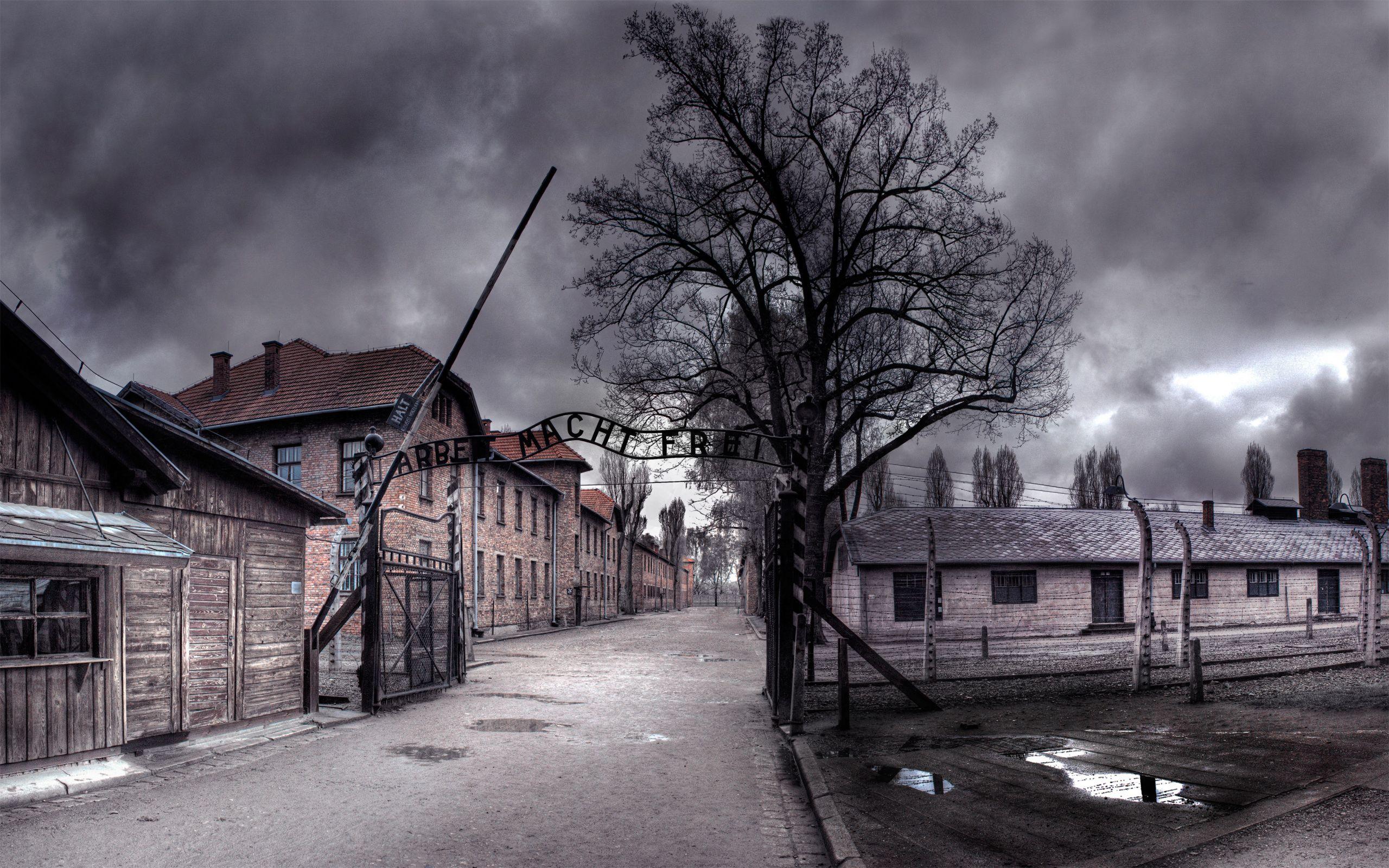 2560x1600 Holocaust Wallpaper