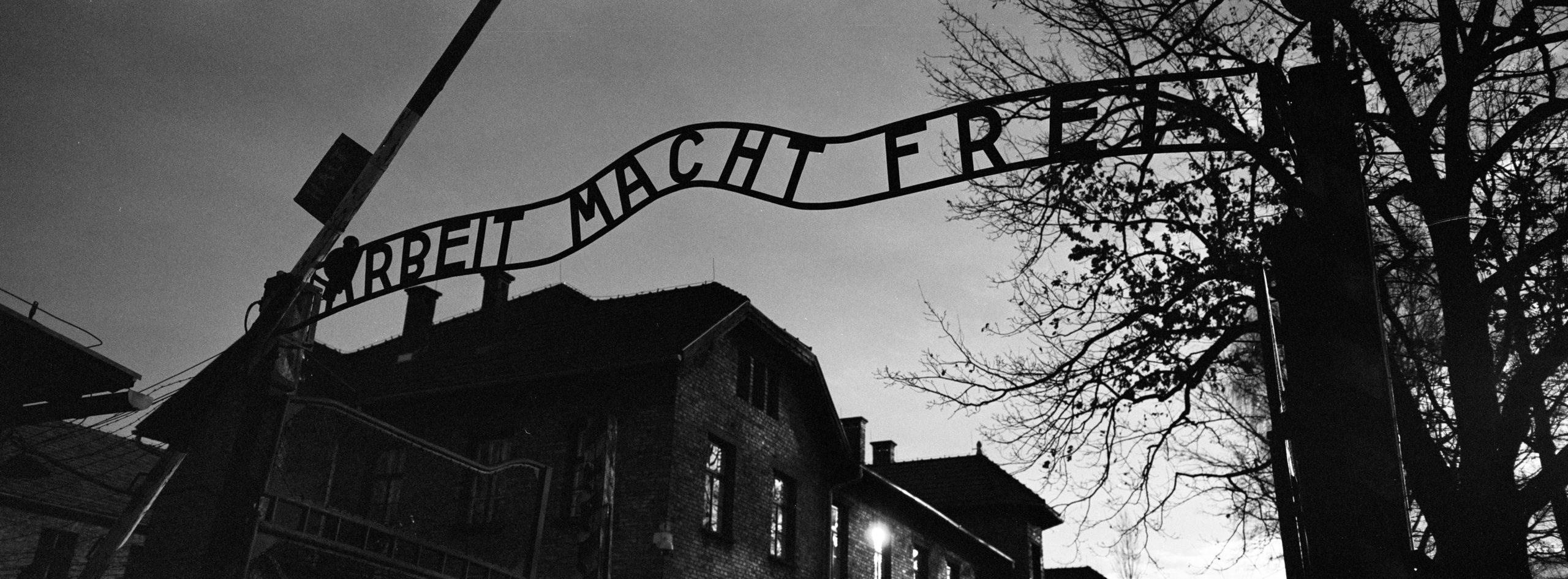 2560x945 Is It Ethical to Show Holocaust Image