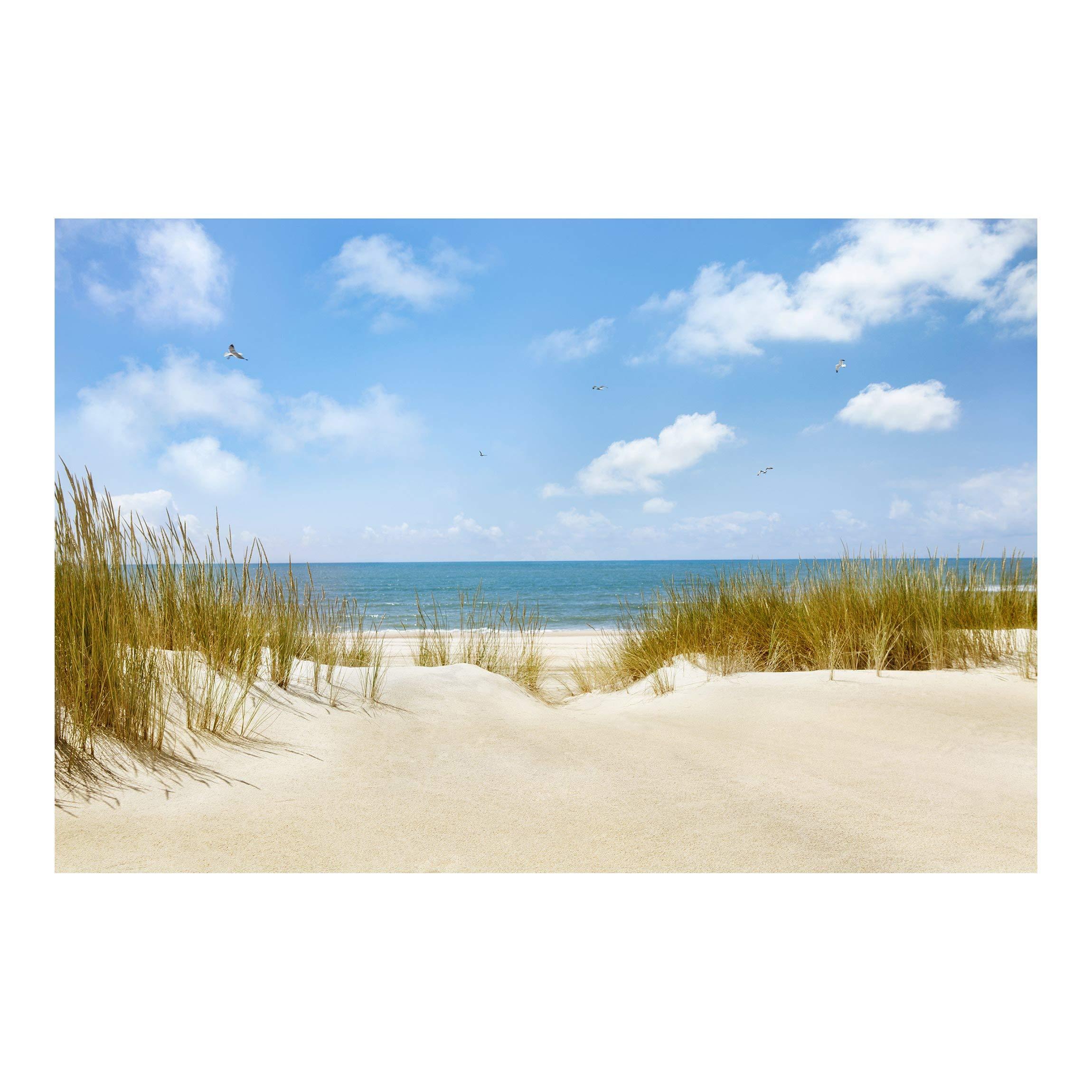 2300x2300 Mural Wide wallpaper wall mural photo