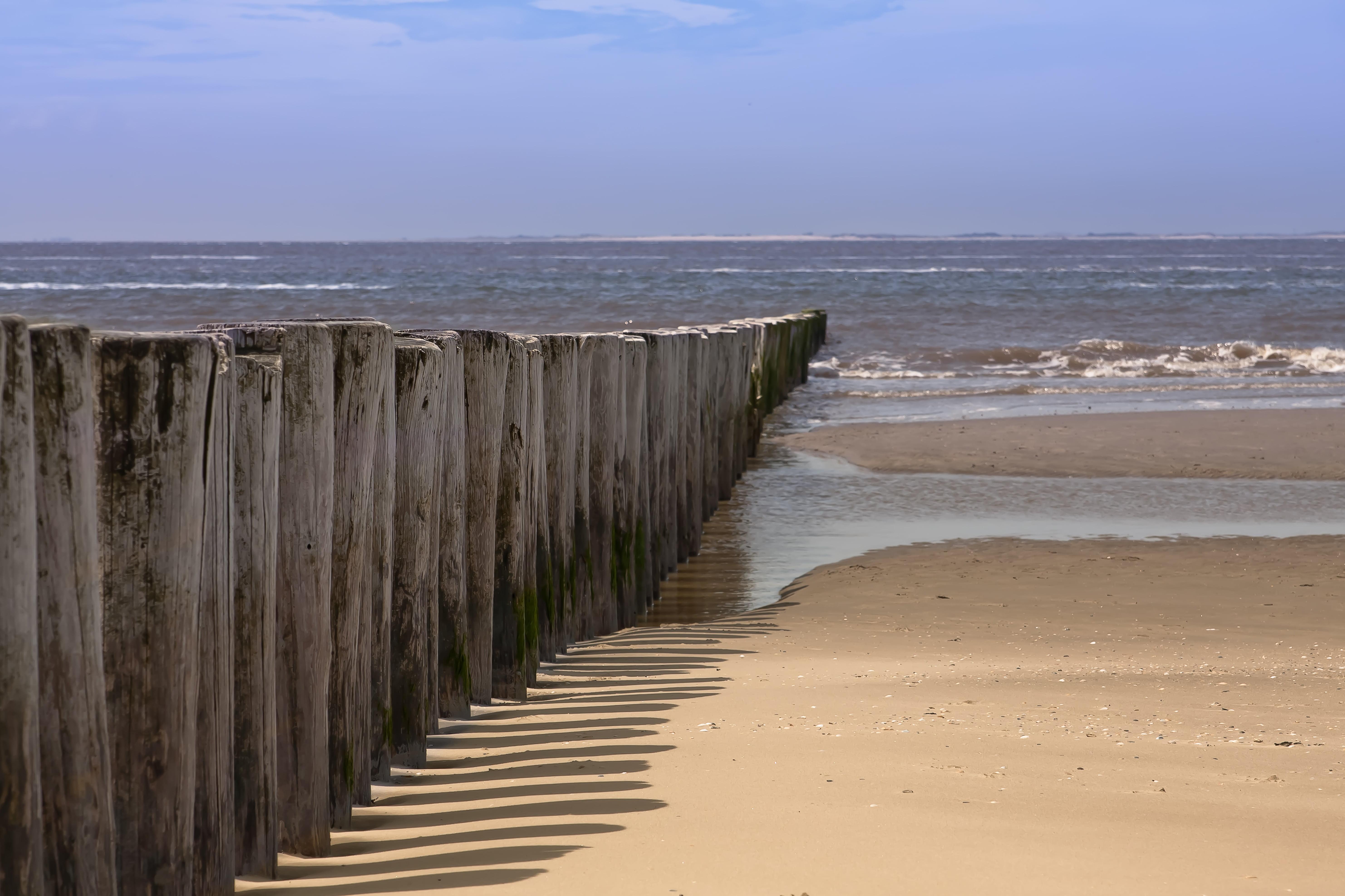 5927x3951 wooden post, holland, piles