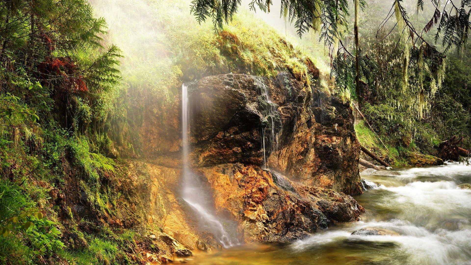 Wilderness Desktop Wallpapers - Top Free Wilderness Desktop Backgrounds