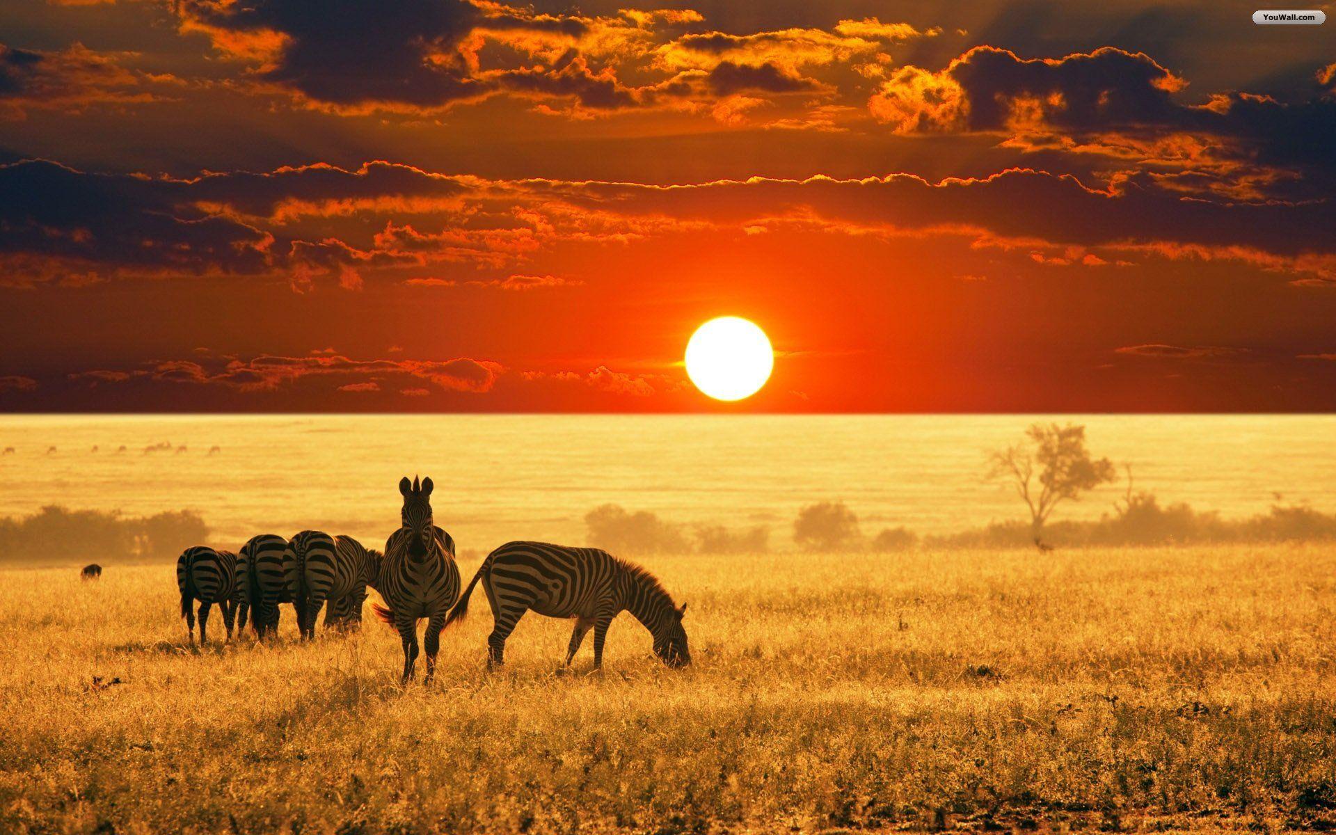1920x1200 africa desktop wallpaper