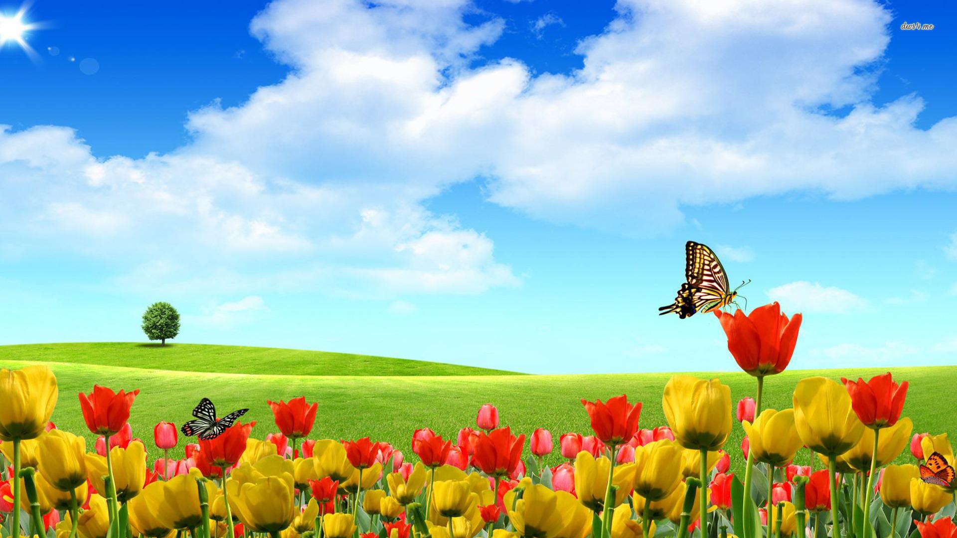 1920x1080 Scenery Wallpaper