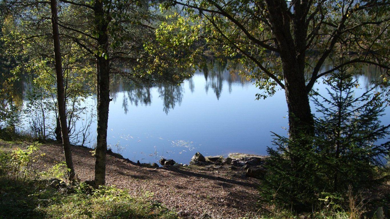 1366x768 Lakes: Mountain Lake Water Mountains America Nature Beauty Forest