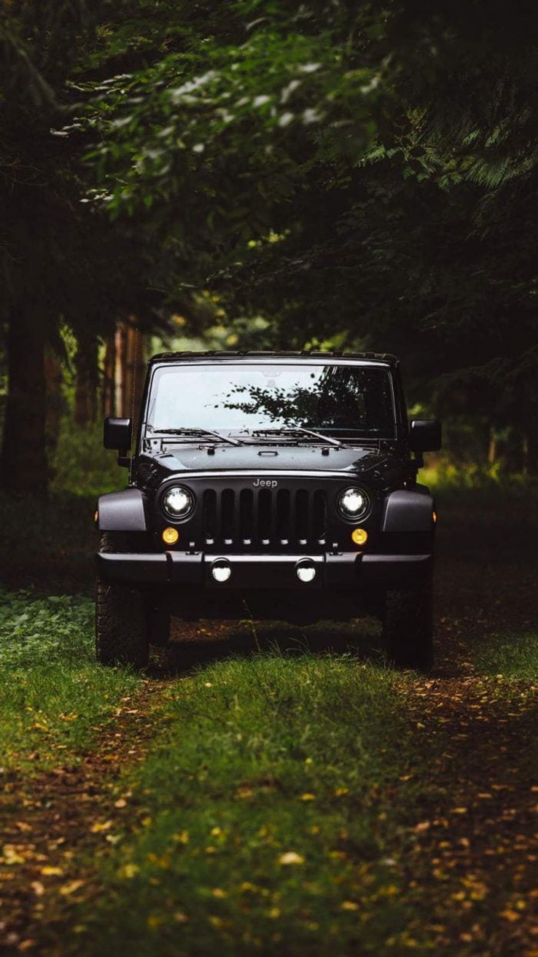 1080x1920 Thar Jeep Wallpaper Thar