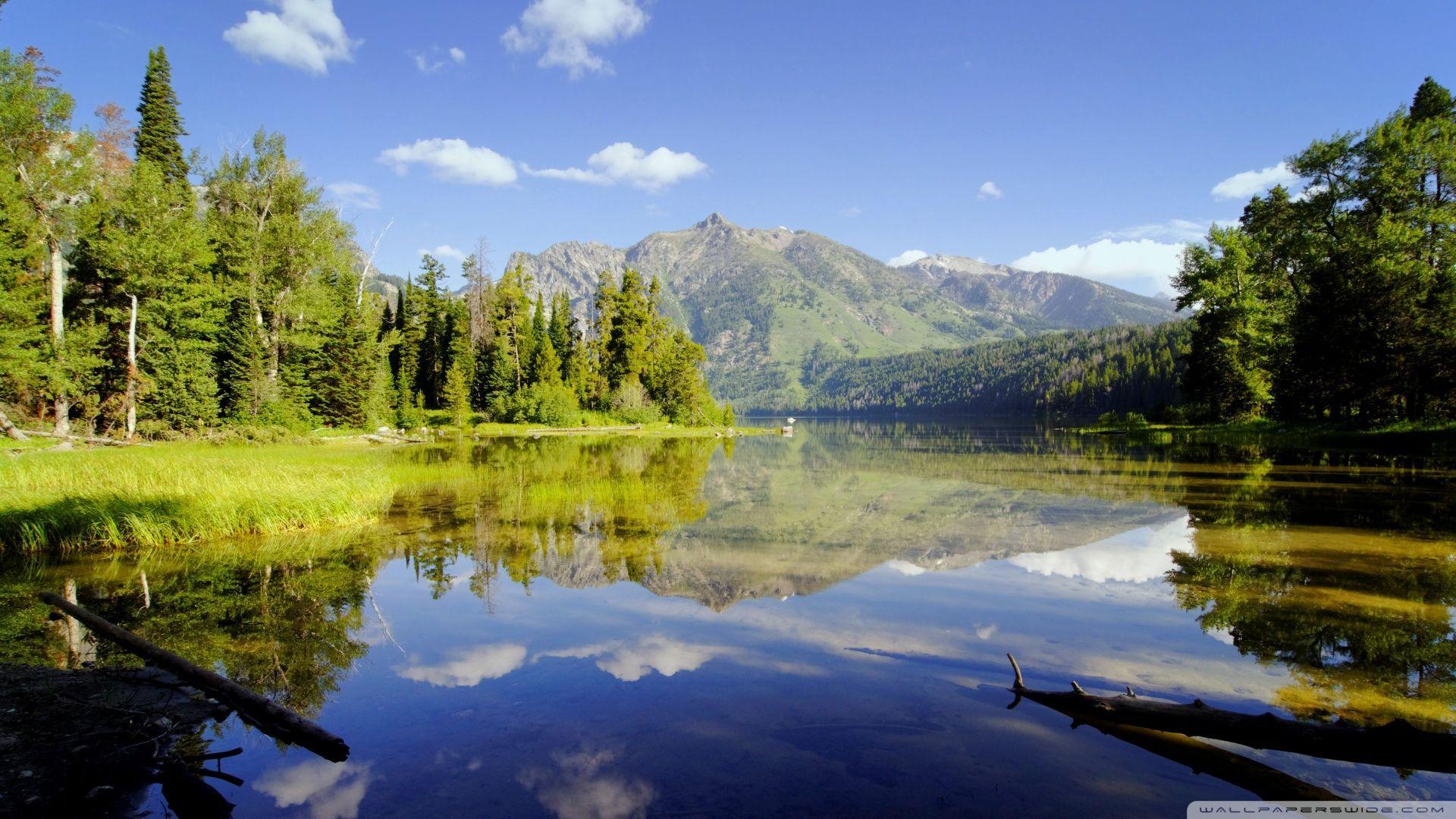 Wilderness Desktop Wallpapers - Top Free Wilderness Desktop Backgrounds