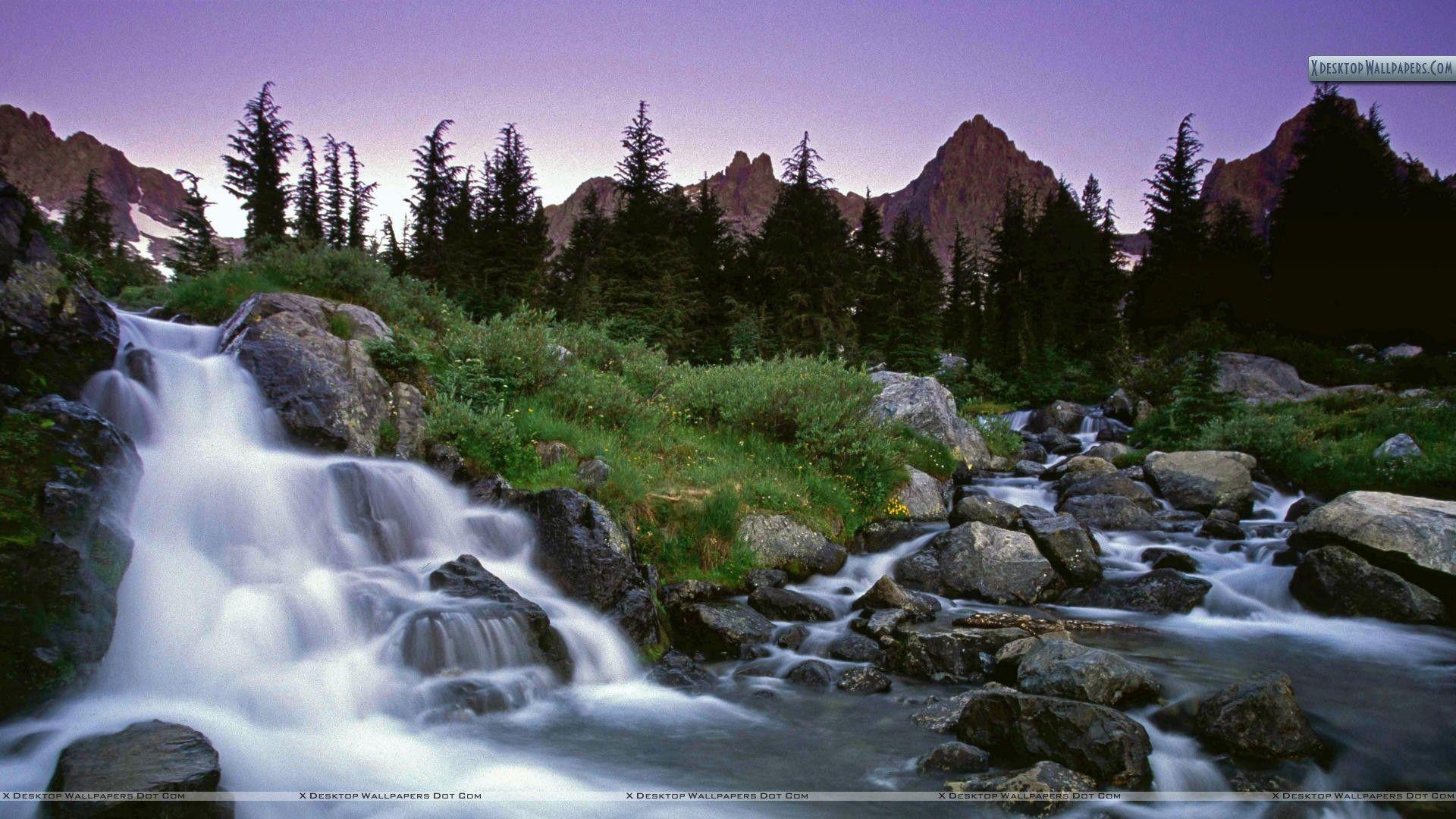 Wilderness Desktop Wallpapers - Top Free Wilderness Desktop Backgrounds