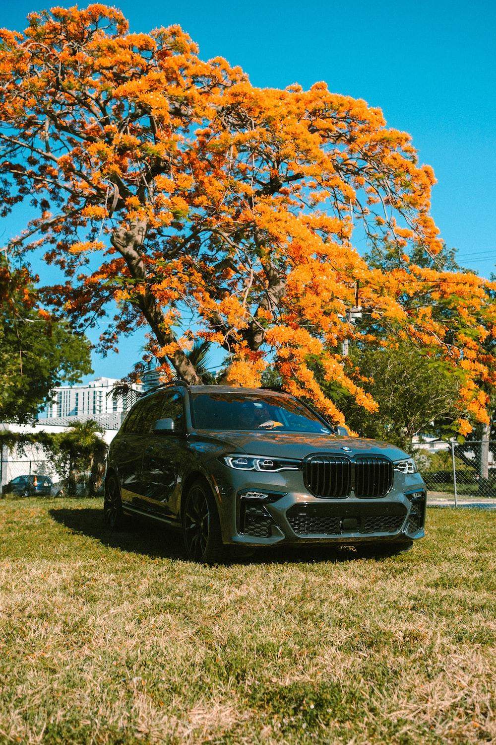 BMW X5M Wallpapers - Top Free BMW X5M Backgrounds - WallpaperAccess