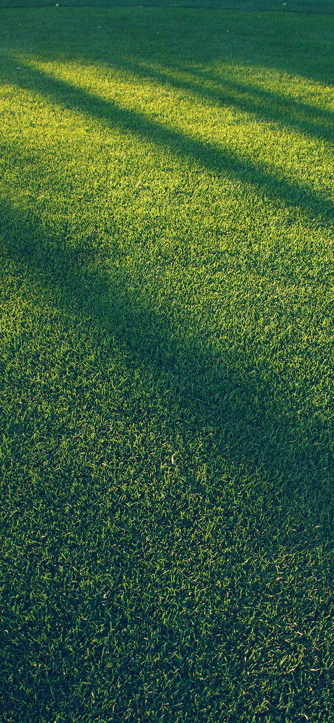 Turf Wallpapers - Top Free Turf Backgrounds - WallpaperAccess
