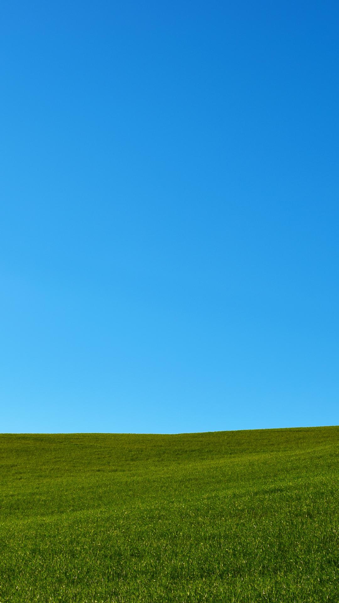 1080x1920 Grass And Outdoors iPhone Wallpaper