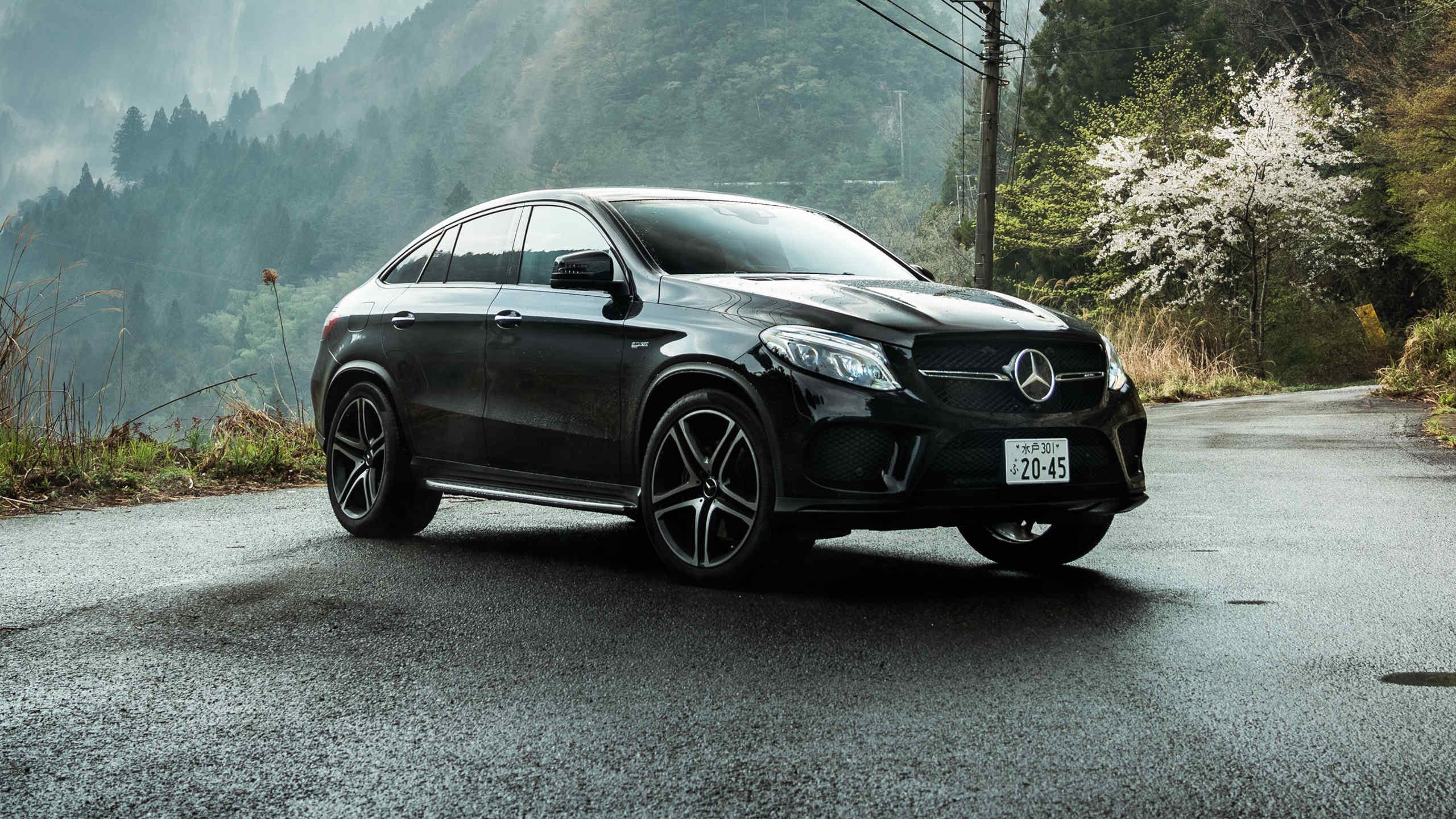 2560x1440 Mercedes Benz GLE 53 Wallpaper