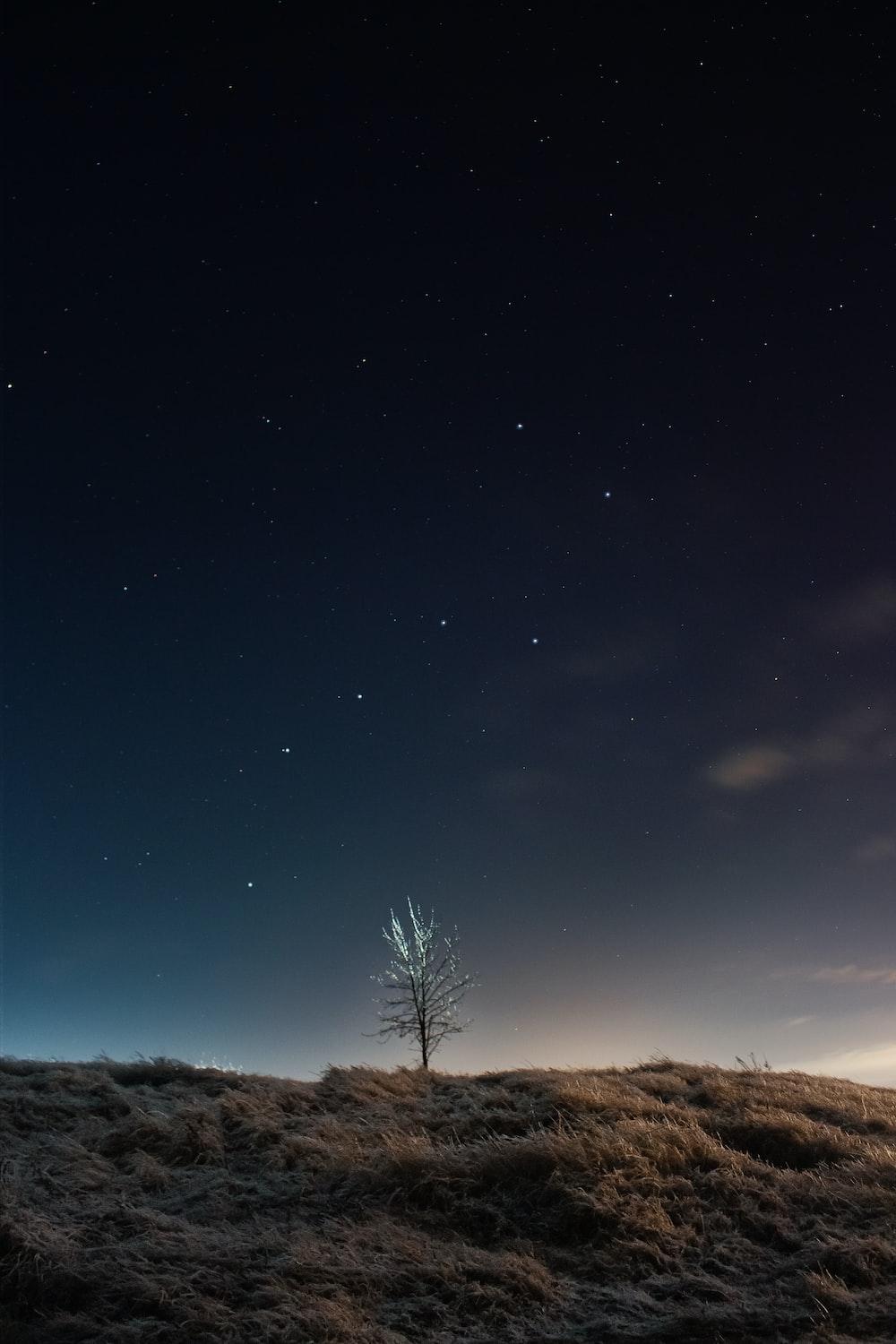 1000x1500 Vertical Wallpaper Picture