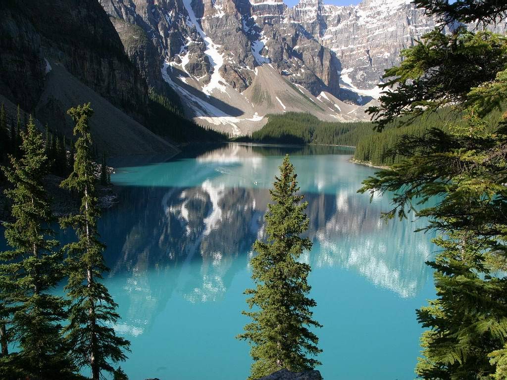 1024x768 Wildlife Scenery Wallpaper 22 Desktop