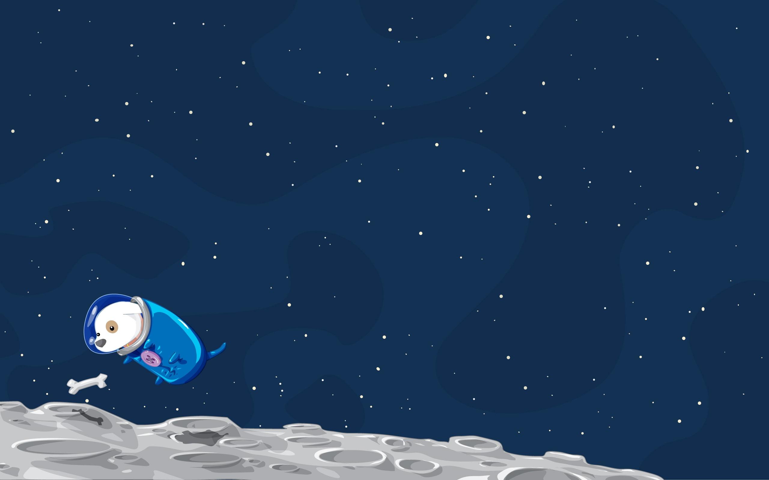 2560x1600 Wallpaper / animals, hd, art