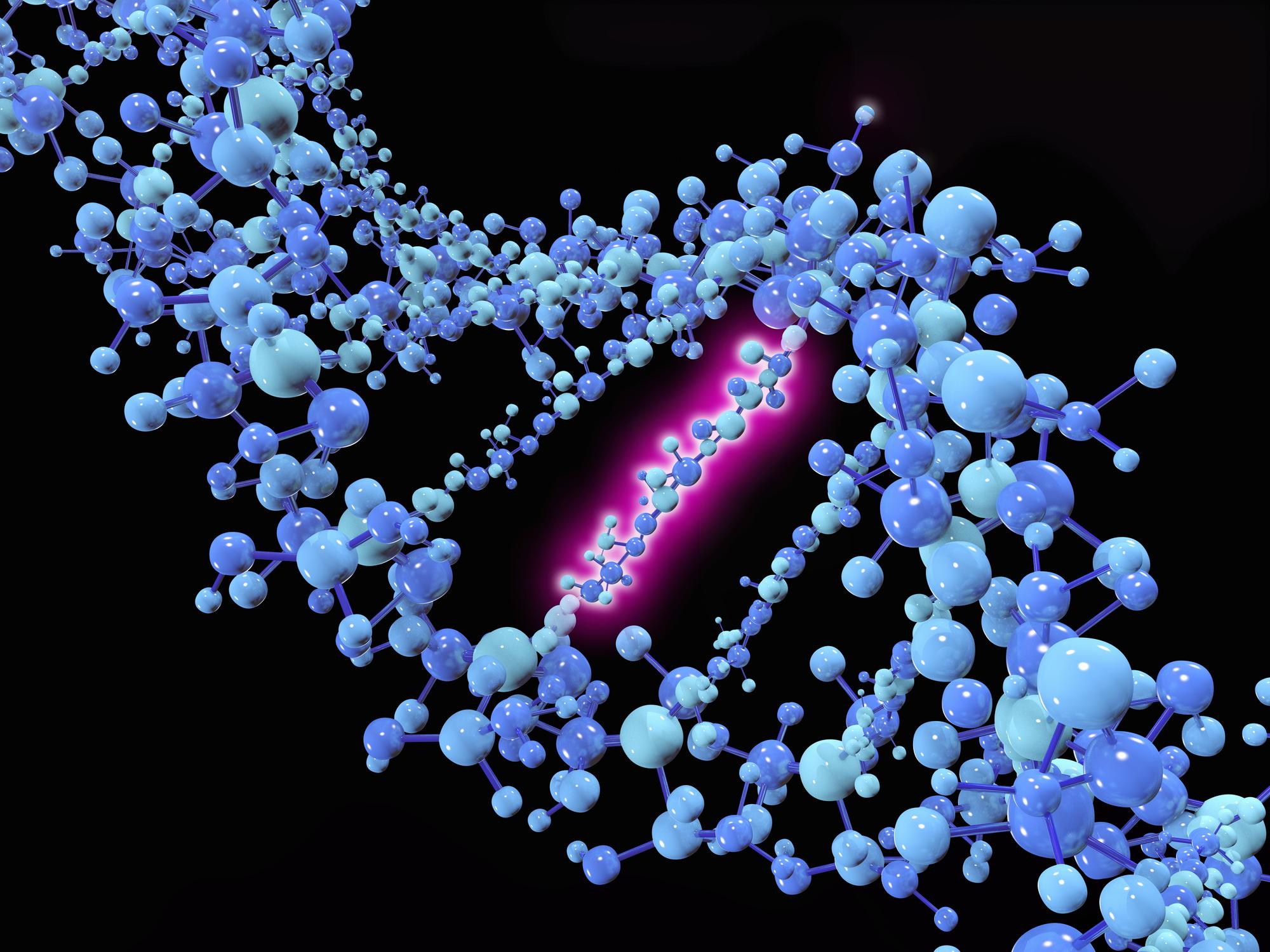 2000x1500 Transcriptional Control of Hunger Gene